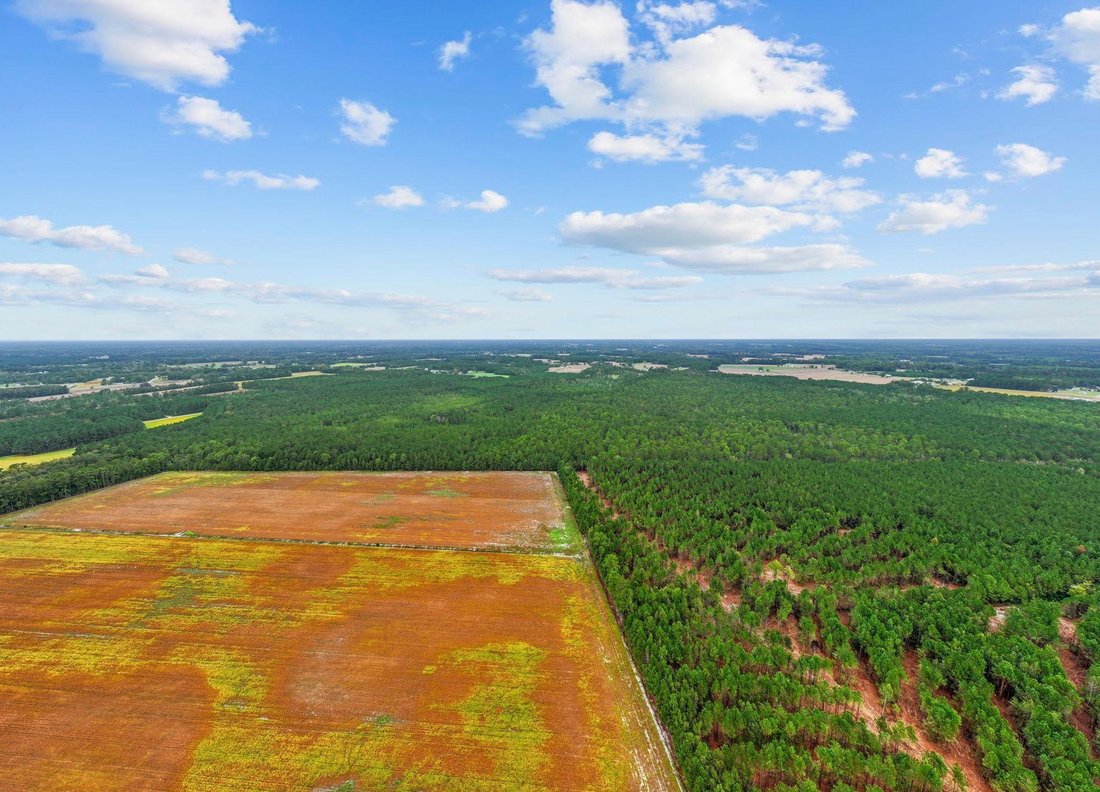 Land in Loris, South Carolina, United States 4 - 17560586