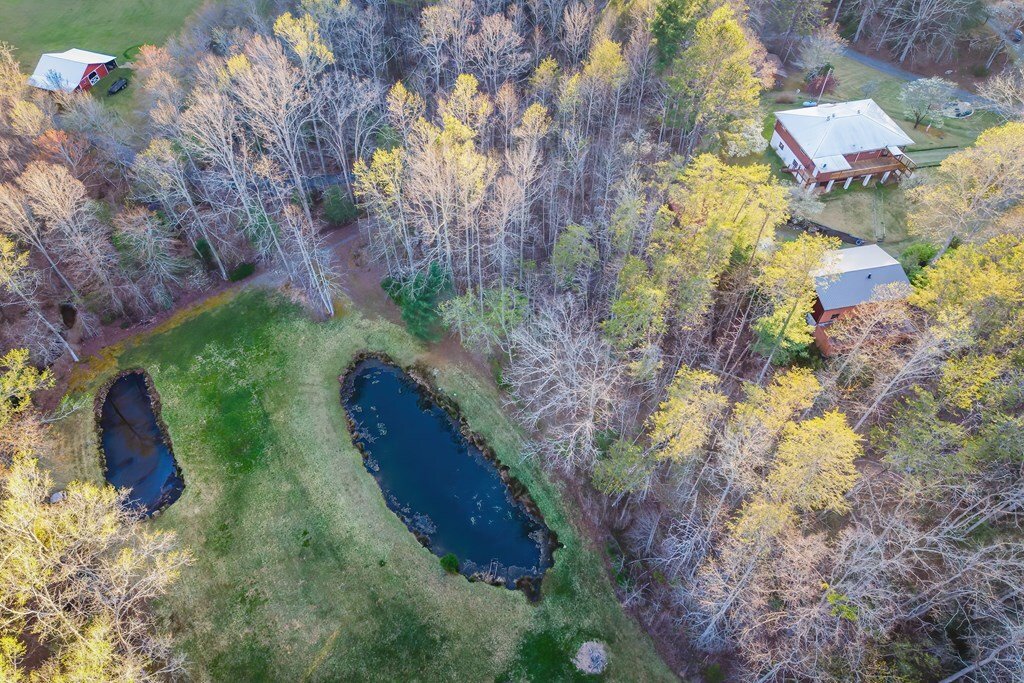House in Blue Ridge, Georgia, United States 3 - 17560851