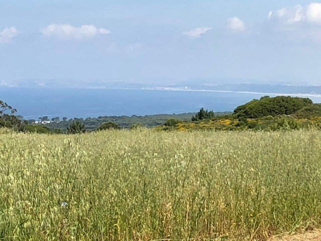 Land in Sesimbra (Castelo), Setubal, Portugal 3 - 17558501