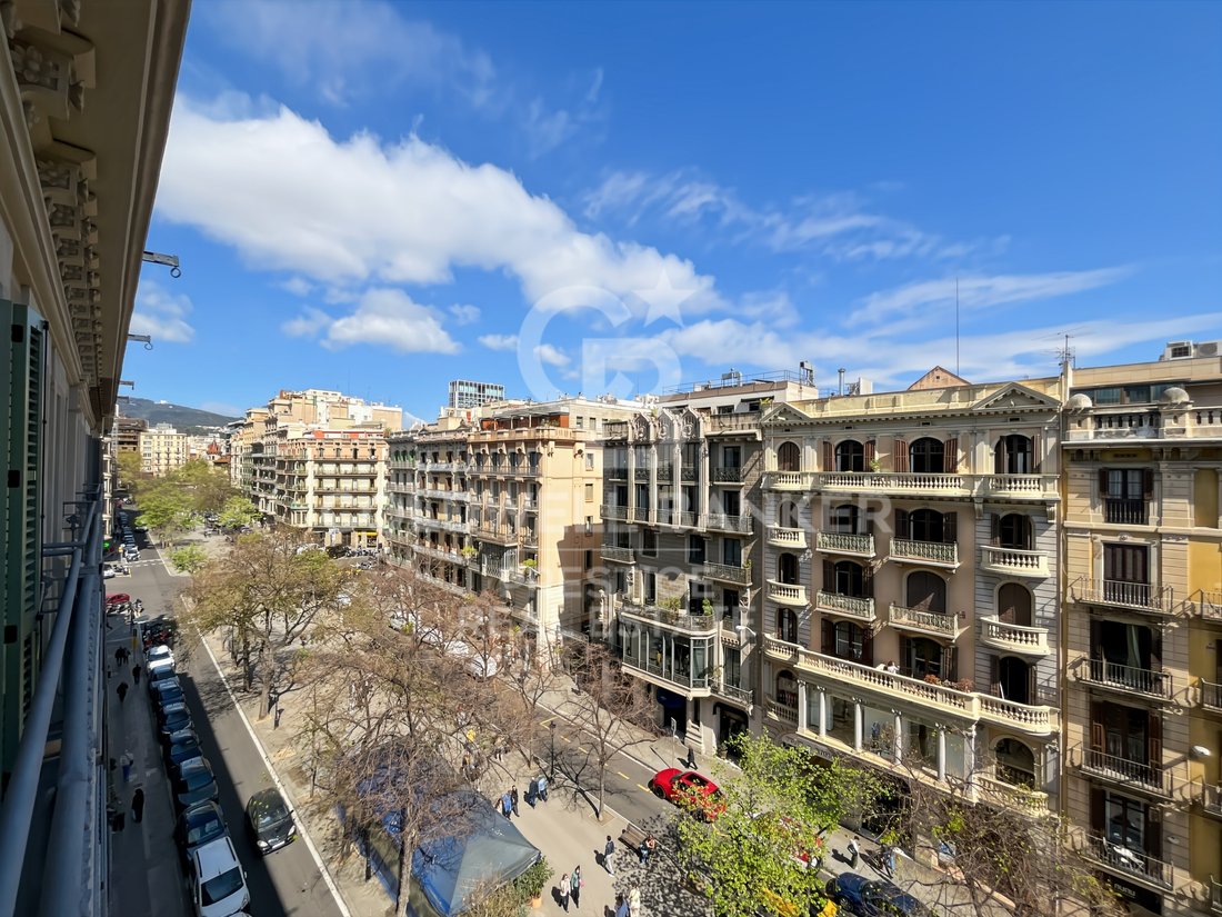 Apartment in Eixample, Barcelona, Spain 1 - 14587271