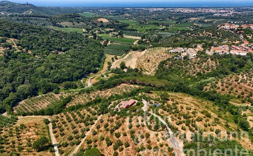 Casa a Castagneto Carducci, Toscana, Italia 1
