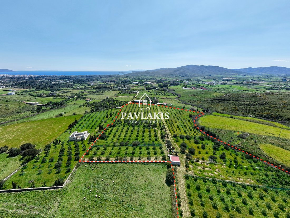 Land in Euboea, Thessaly and Central Greece, Greece 5 - 17557521