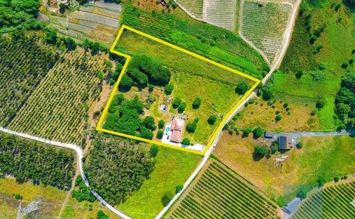 Finca en Alcoentre, Distrito de Lisboa, Portugal 1