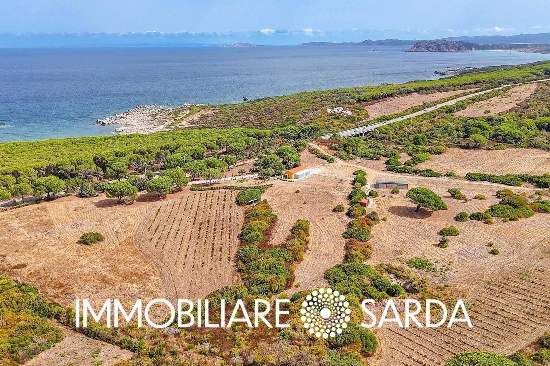 Villa in Aglientu, Sardinia, Italy 4 - 17558200