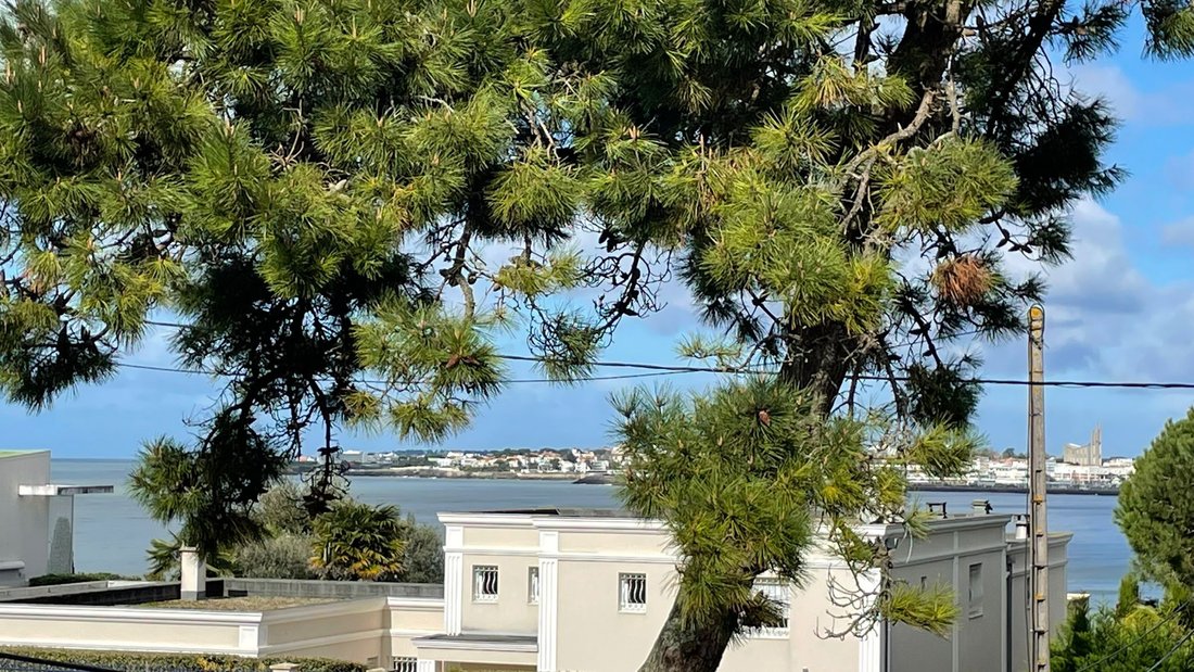 House in Saint-Georges-de-Didonne, Nouvelle-Aquitaine, France 1 - 17557864
