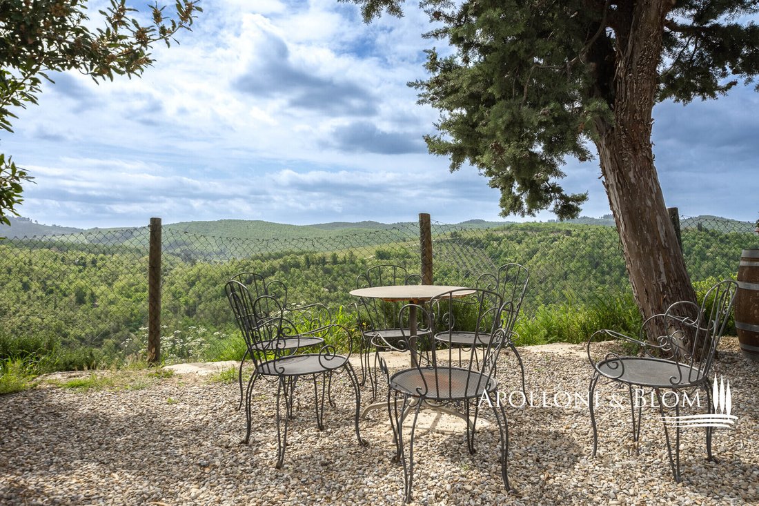 Gaiole in Chianti, Tuscany, Italy 5 - 16674541