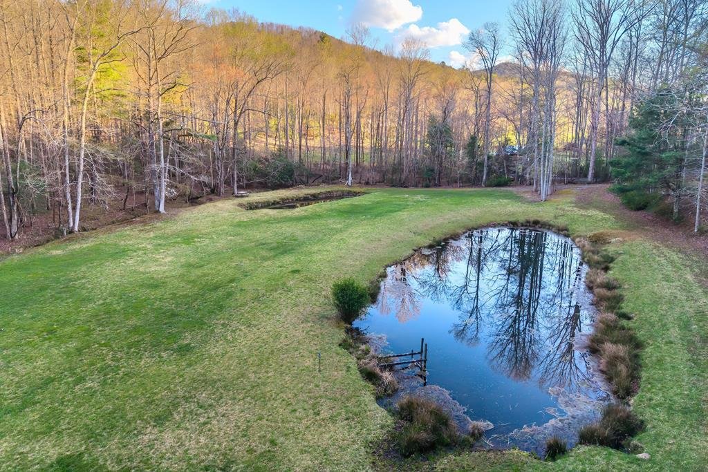 House in Blue Ridge, Georgia, United States 3 - 17560851