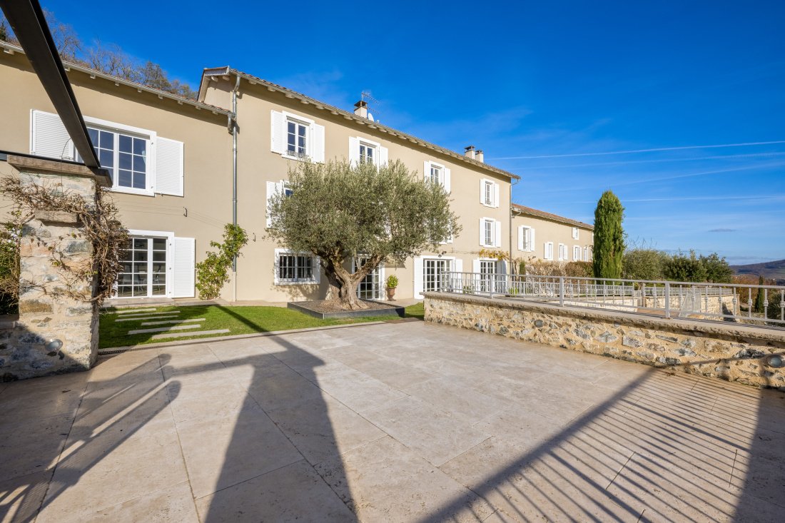 Estate in Régnié-Durette, Auvergne-Rhône-Alpes, France 3 - 17557823