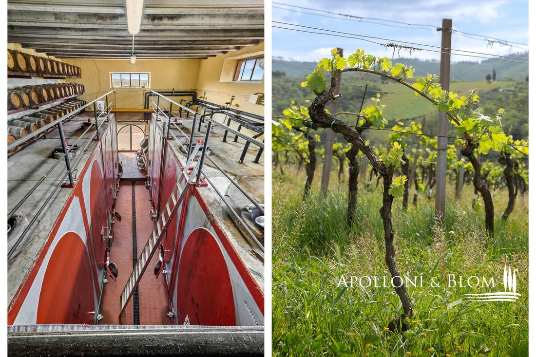 Gaiole in Chianti, Tuscany, Italy 2 - 16674541
