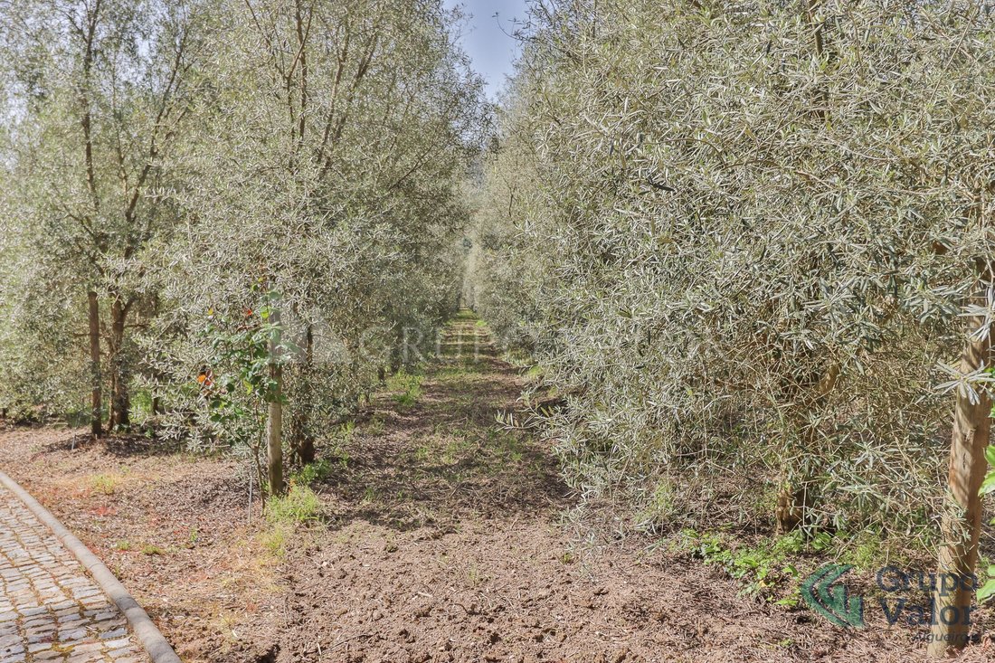Finca in Alpendorada, Varzea e Torrao, Porto District, Portugal 5 - 11952901
