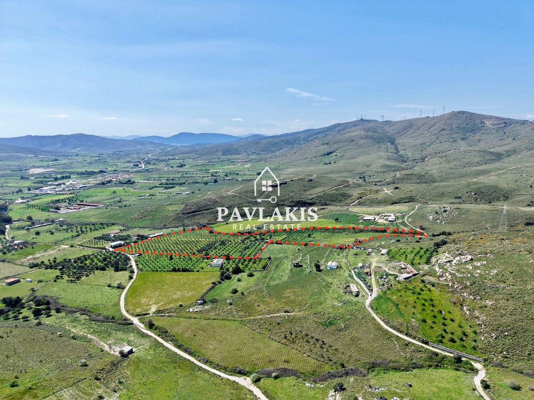Land in Euboea, Thessaly and Central Greece, Greece 4 - 17557521