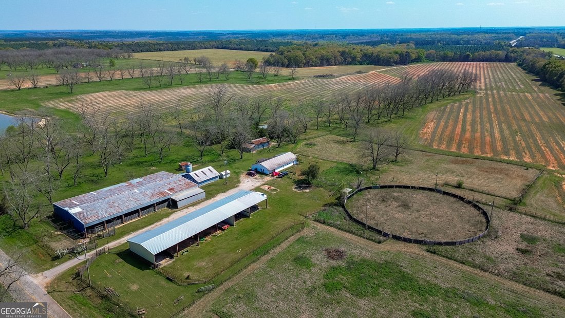 Farm Ranch in Richland, Georgia, United States 3 - 17560570