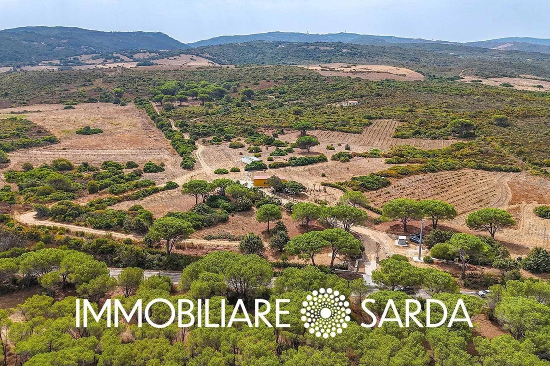 Villa in Aglientu, Sardinia, Italy 5 - 17558200