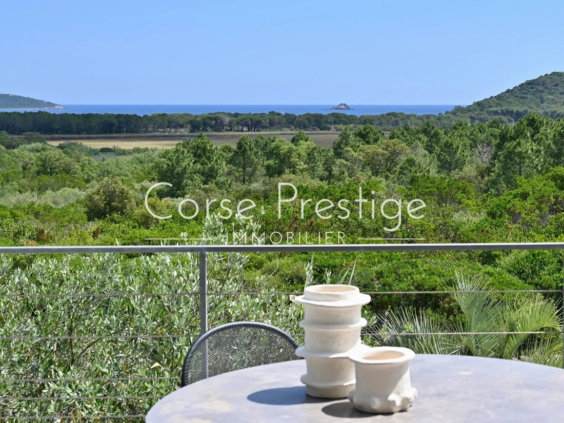 Villa in Zonza, Corsica, France 5 - 14419698