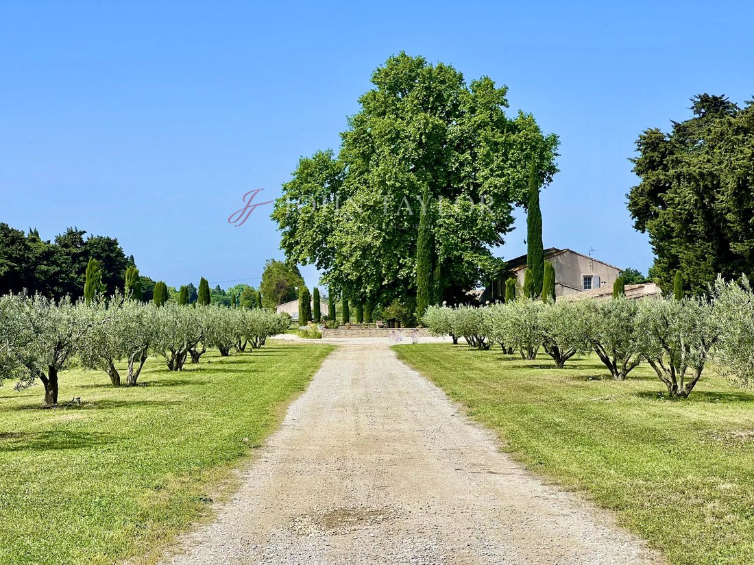 Country House in Velorgues-Petit Palais, L'Isle-sur-la-Sorgue, France 3 - 17556896