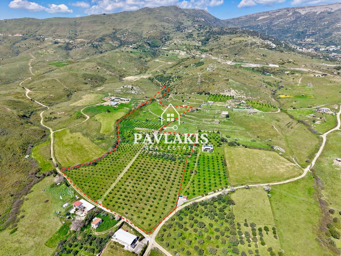 Land in Euboea, Thessaly and Central Greece, Greece 2 - 17557521