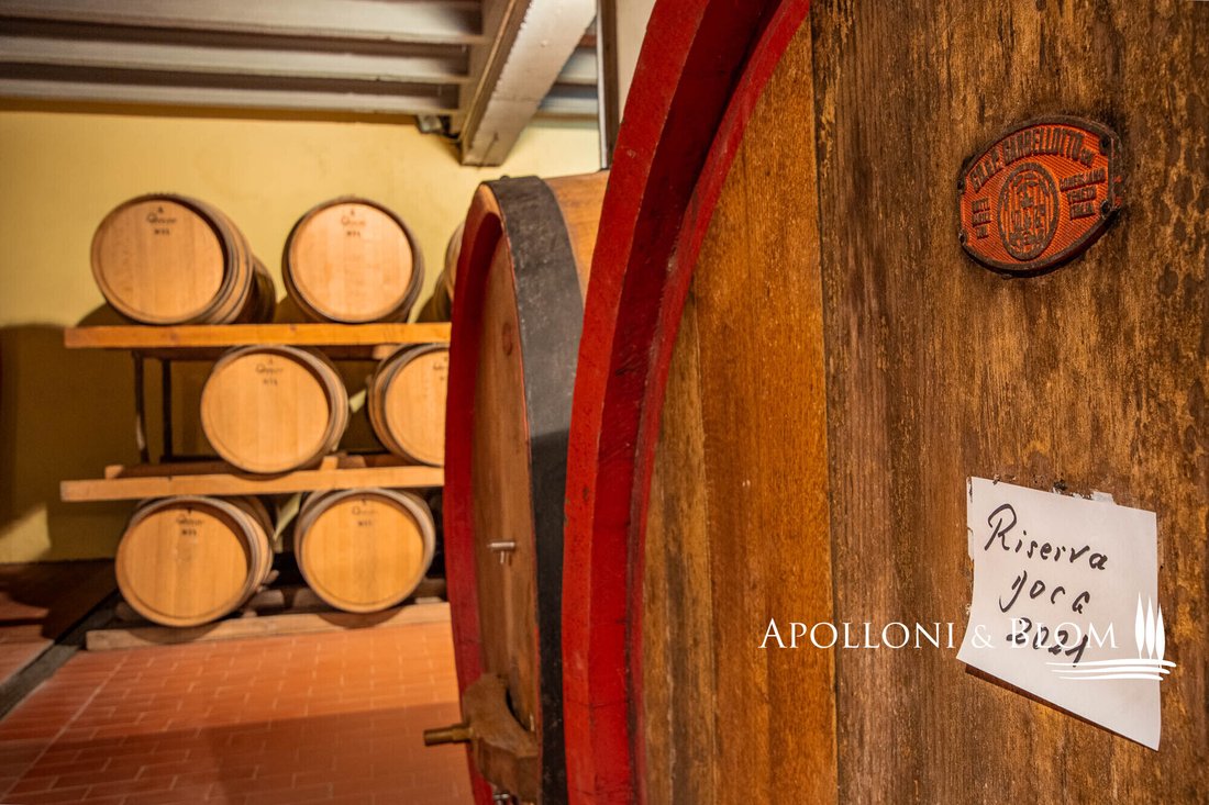 Gaiole in Chianti, Tuscany, Italy 1 - 16674541