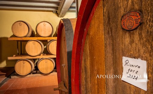 Gaiole in Chianti, Toskana, Italien 1