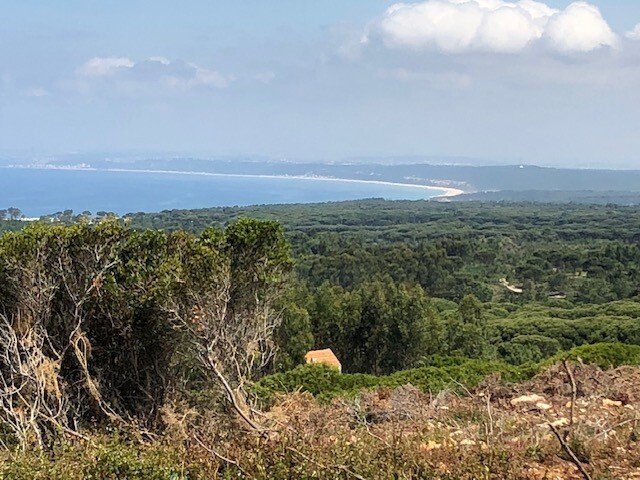 Land in Sesimbra (Castelo), Setubal, Portugal 5 - 17558501