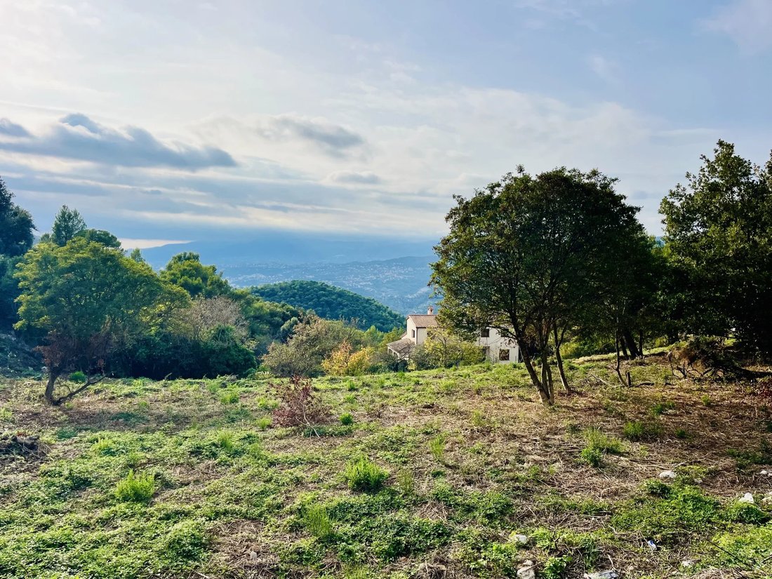 Land in Èze, Provence-Alpes-Côte d'Azur, Frankreich 1 - 17558039