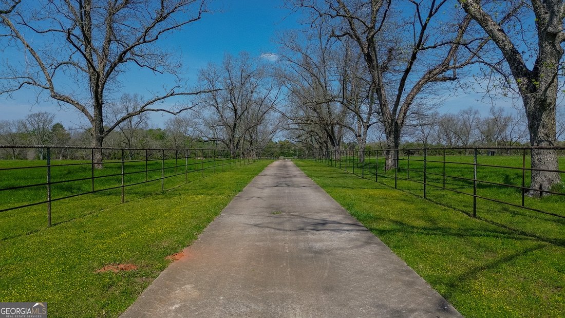 Farm Ranch in Richland, Georgia, United States 1 - 17560570