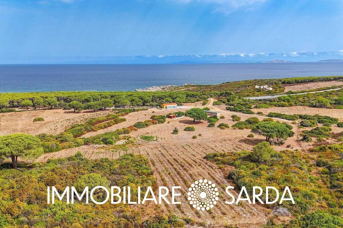 Villa in Aglientu, Sardinia, Italy 3 - 17558200