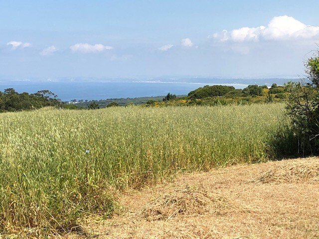 Land in Sesimbra (Castelo), Setubal, Portugal 2 - 17558501