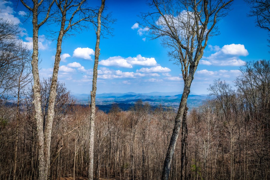 House in Mineral Bluff, Georgia, United States 3 - 17558300