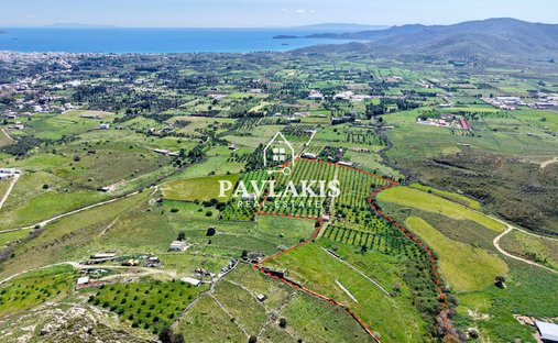 Land in Euboea, Thessaly and Central Greece, Griechenland 1