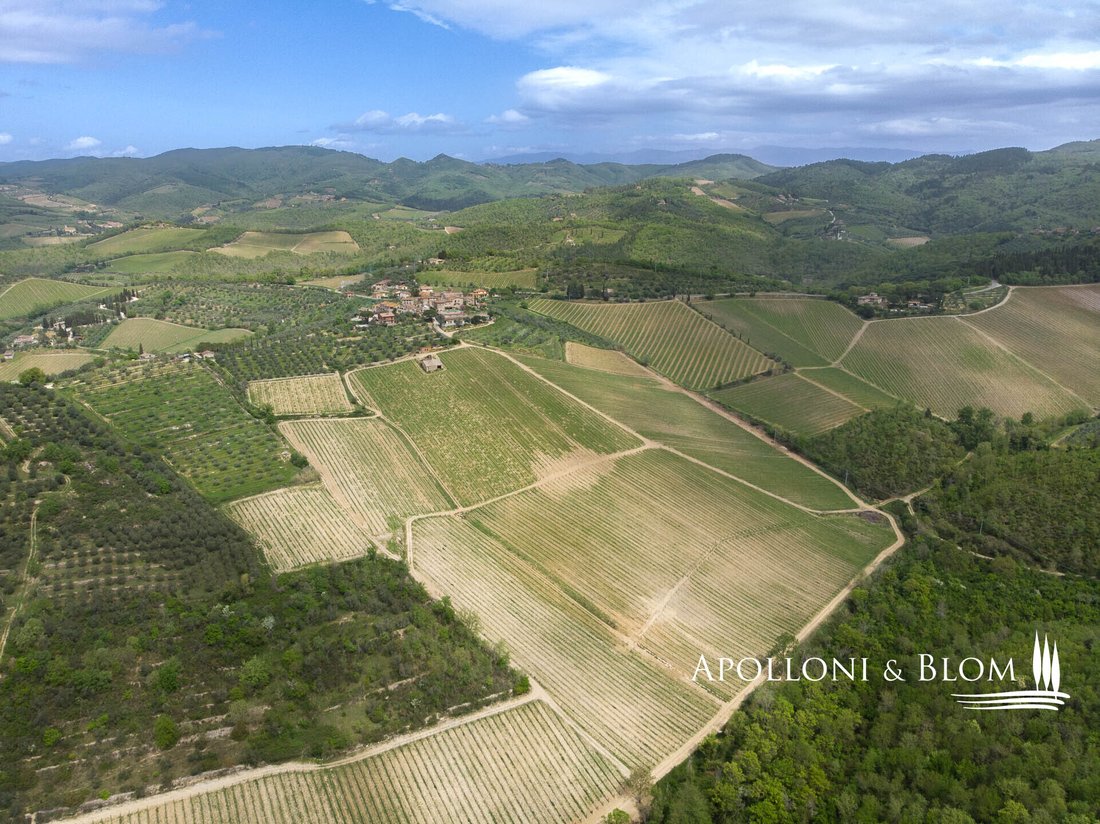 Gaiole in Chianti, Tuscany, Italy 4 - 16674541