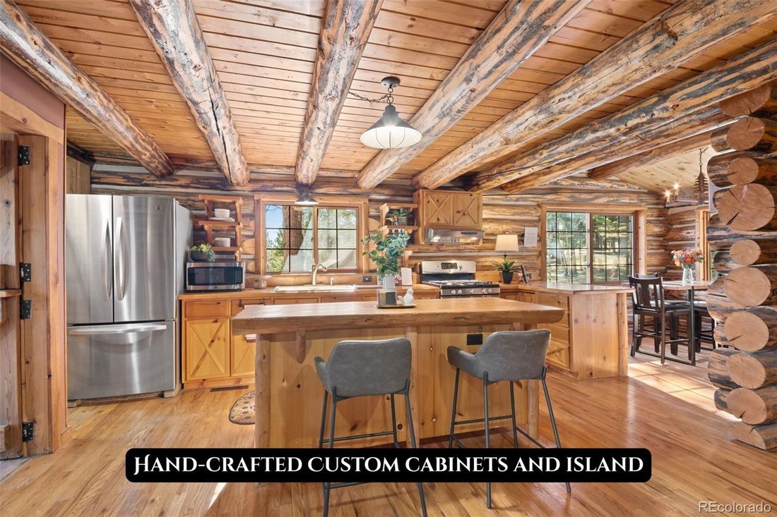 House in Bailey, Colorado, United States 4 - 16755770