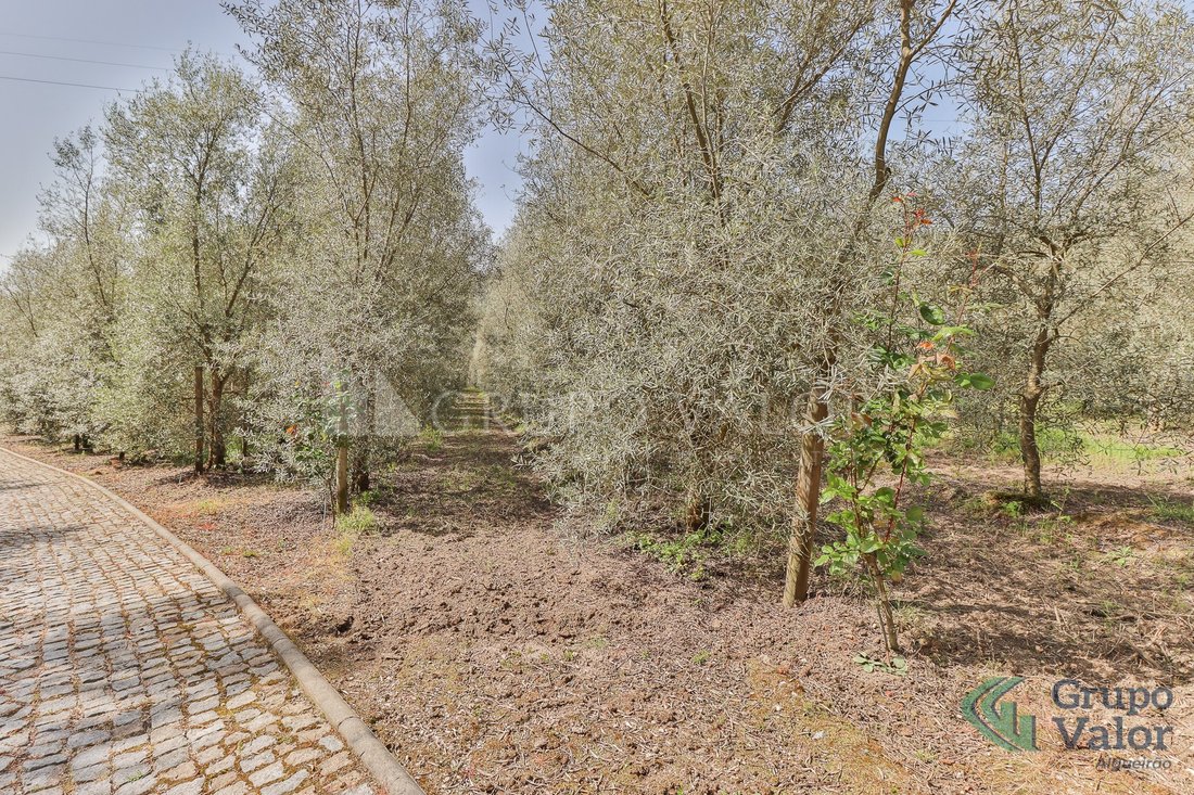 Finca in Alpendorada, Varzea e Torrao, Porto District, Portugal 4 - 11952901