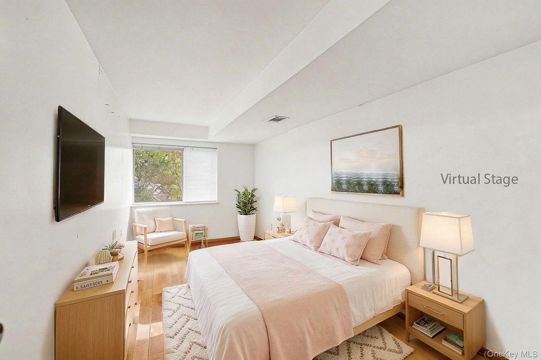 House in Great Neck, New York, United States 5 - 17542803