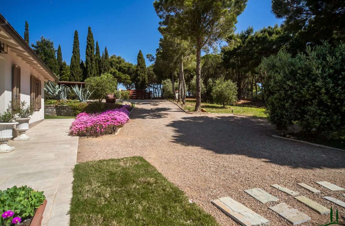 Villa in Center, Campiglia Marittima, Tuscany 4 - 17568778