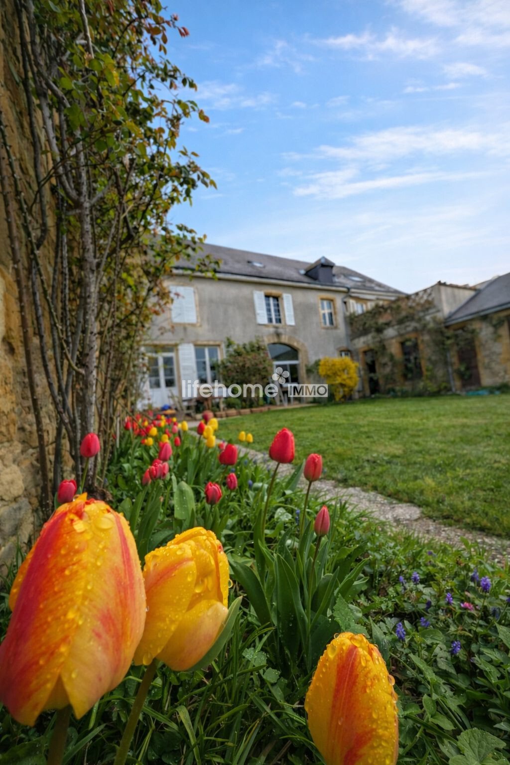 House in Balan, Grand Est, France 3 - 17566853