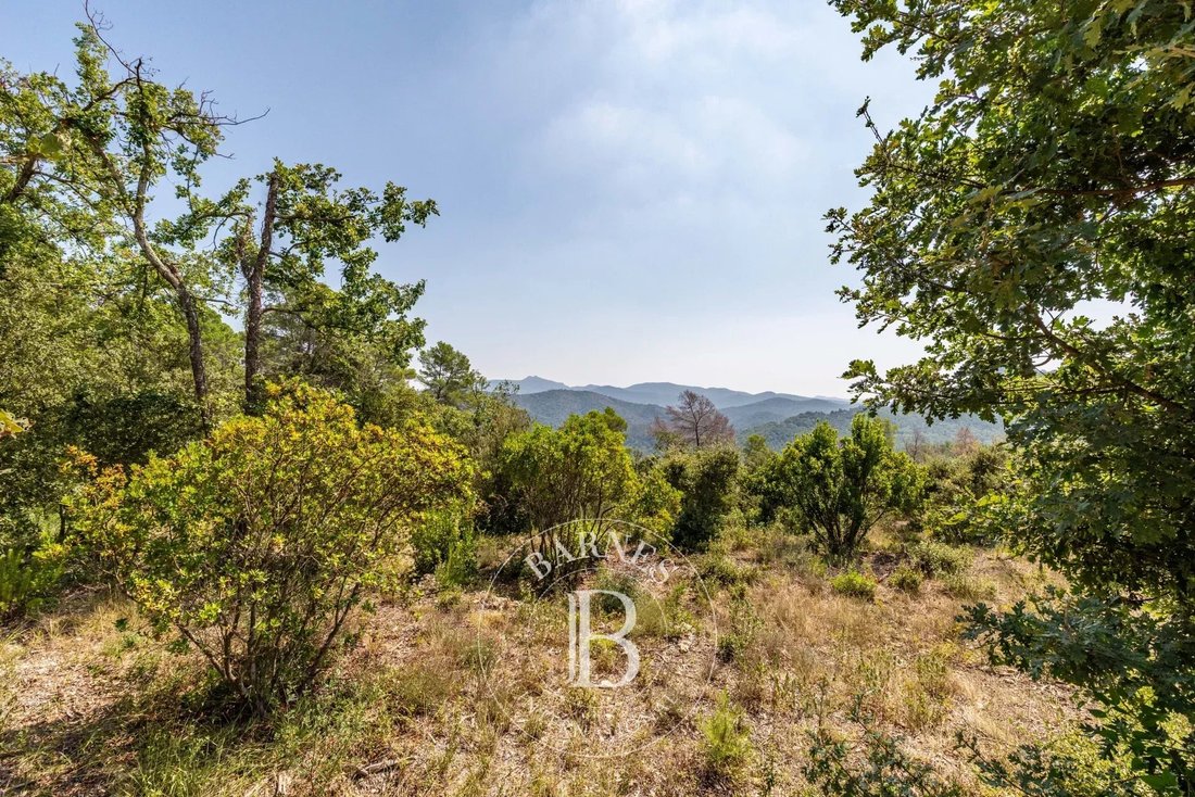 Land in Bagnols-en-Forêt, Provence-Alpes-Côte d'Azur, France 5 - 17561010