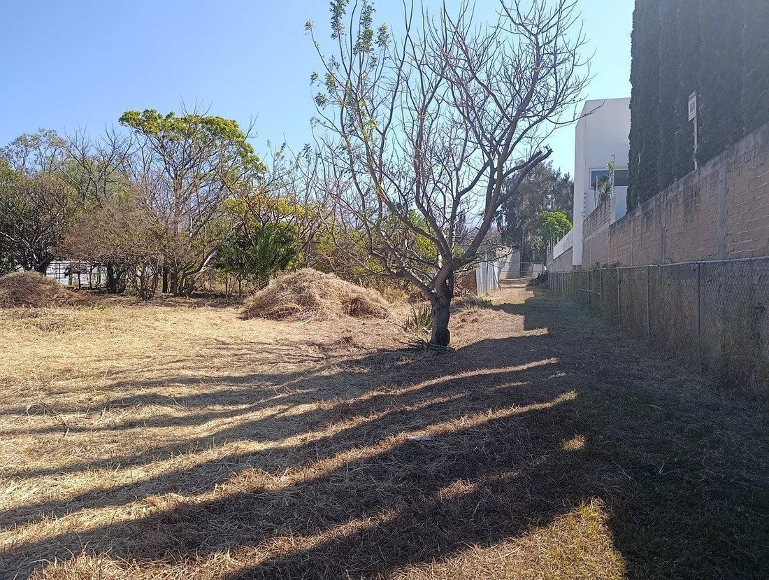 Land in Santiago Etla, Oaxaca, Mexico 3 - 17561062