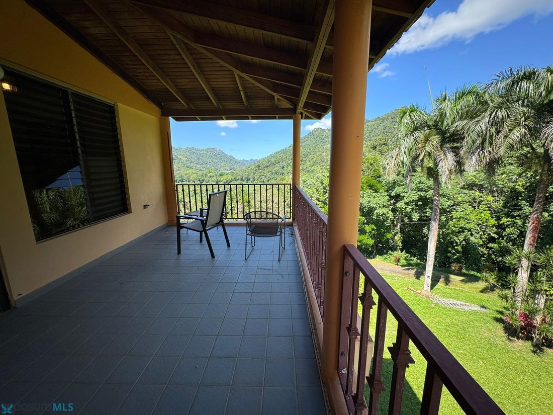 House in Utuado, Utuado, Puerto Rico 5 - 17568717