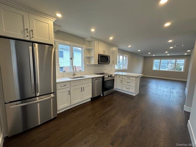 Port Washington, New York, United States 3 - 17564227