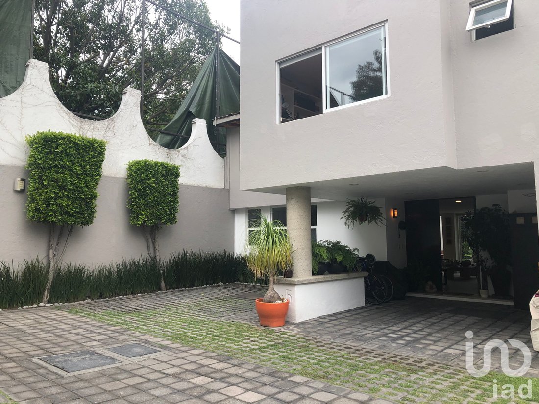 House in Mexico City, Mexico 1 - 17564417