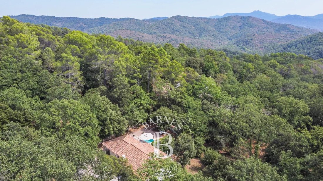 Villa in Bagnols-en-Forêt, Provence-Alpes-Côte d'Azur, France 3 - 17561008