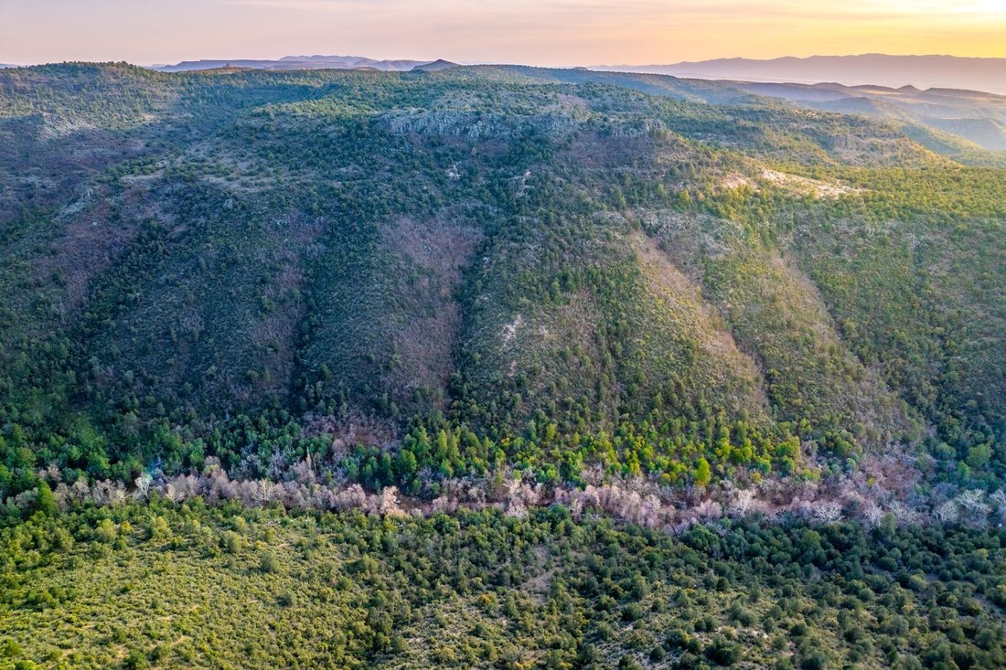 Land in Mayer, Arizona, United States 3 - 17563723