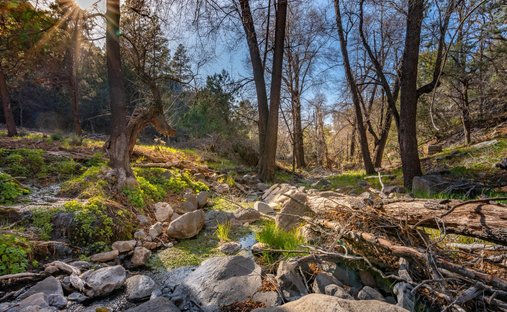 Land in Mayer, Arizona, United States 1