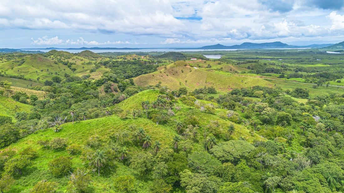 Land in Boca Chica, Chiriquí Province, Panama 5 - 17567166