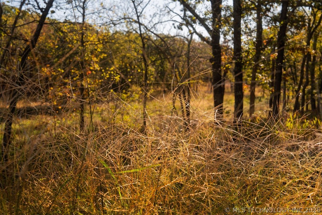Land in Beggs, Oklahoma, United States 1 - 17565791