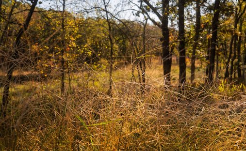 Terreno a Beggs, Oklahoma, Stati Uniti 1