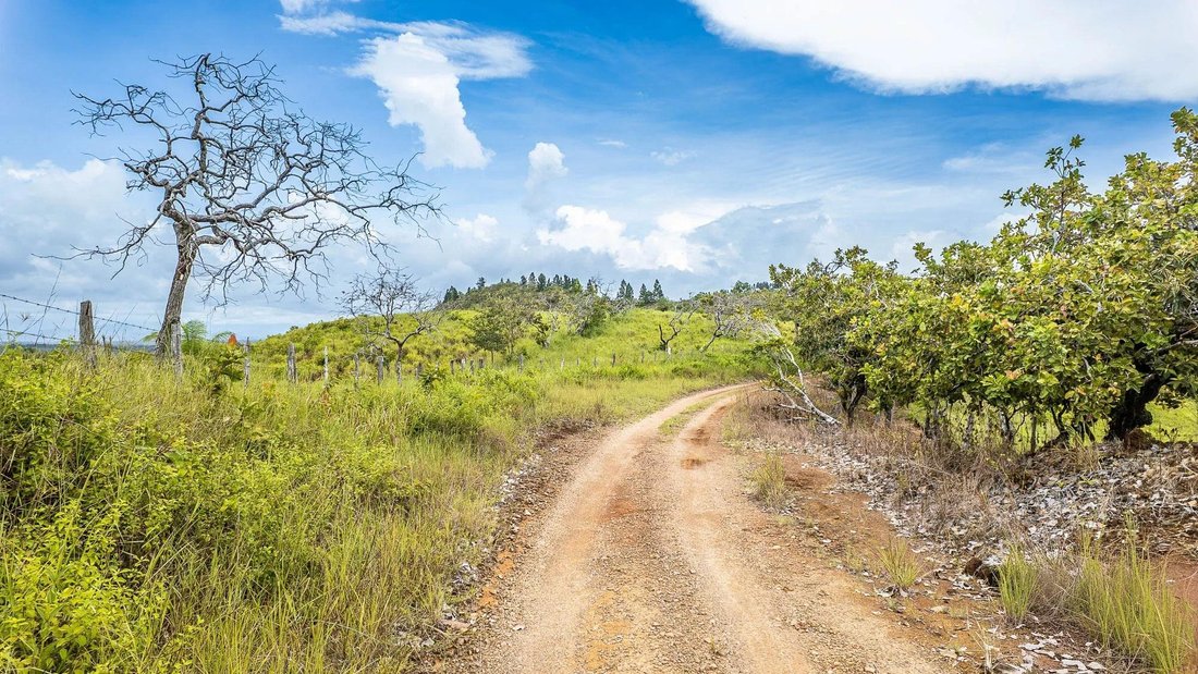 Land in Boca Chica, Chiriquí Province, Panama 4 - 17567166