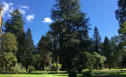 At The Gates Of Périgord Noir, On The Outskirts Of Souillac Towards Sarlat, In The Center Of A Magni