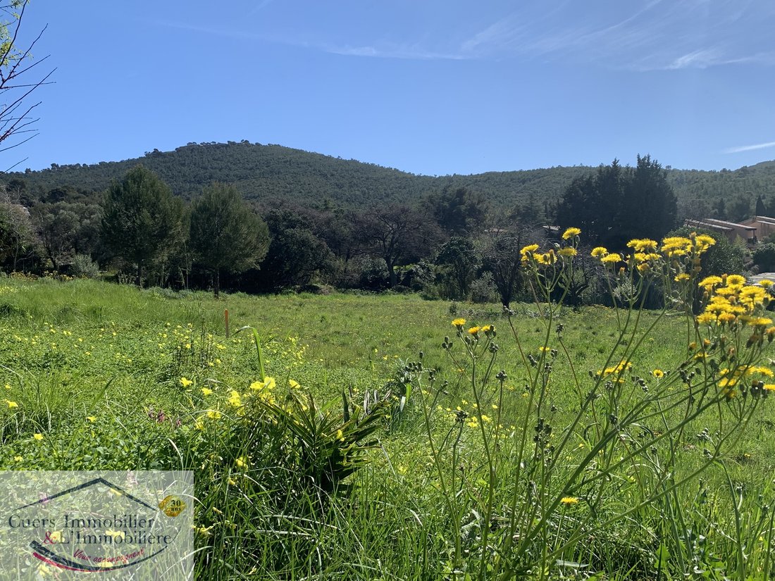 Land in Sud, Le Pradet, France 1 - 17339435