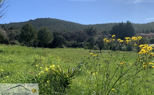Land in Le Pradet, Provence-Alpes-Côte d'Azur, Frankreich 1